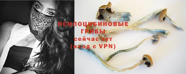 прущие грибы Алексин