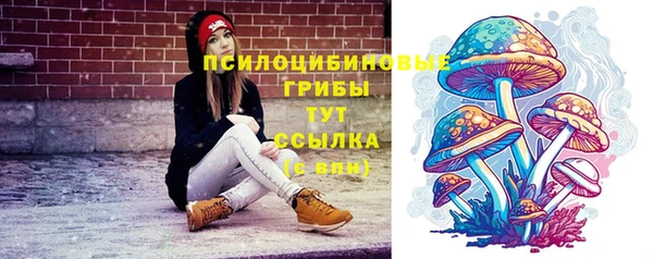 гашик Алзамай