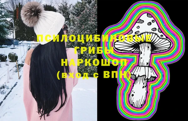 гашик Алзамай
