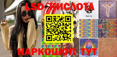прущие грибы Гатчина