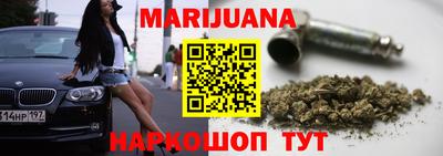 прущие грибы Гатчина