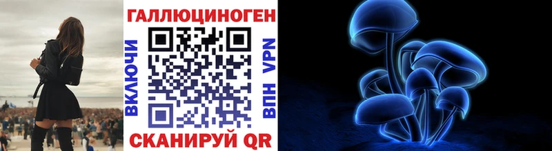 купить закладку Кириши Галлюциногенные грибы Psilocybe